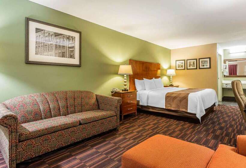 Hotel Quality Inn & Suites Near Robins Air Force Base