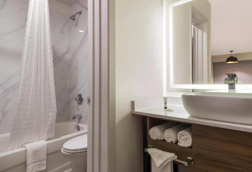 Fotos del hotel Galleria Inn and Suites Westchase Houston:  7