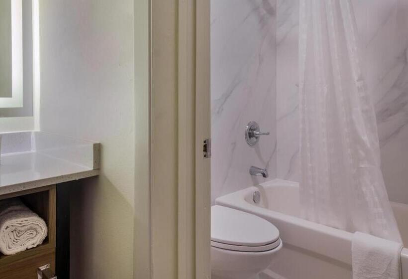 Fotos del hotel Galleria Inn and Suites Westchase Houston:  8