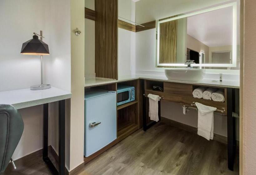 Fotos del hotel Galleria Inn and Suites Westchase Houston:  5