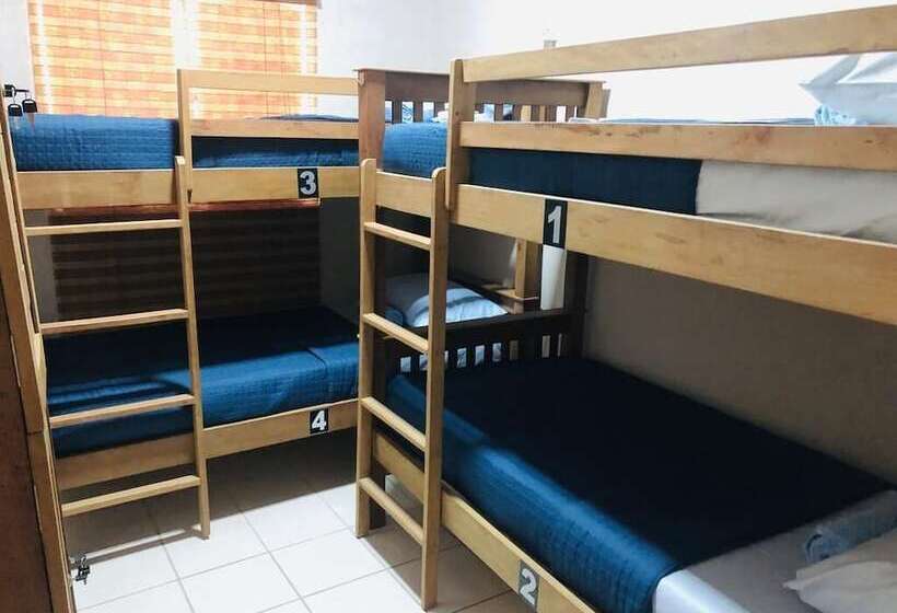 Hostel Ilha Do Amor