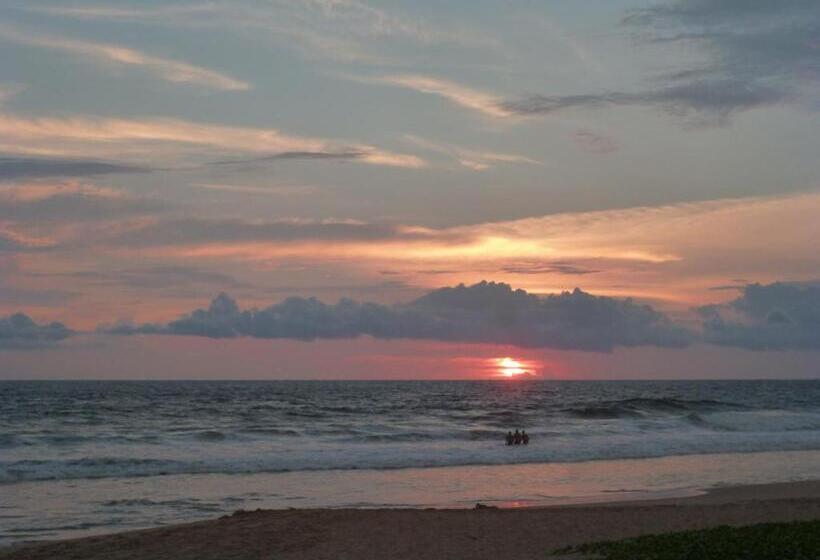 هتل Ocean View Cottage