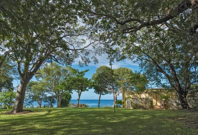 پانسیون Colleton Great House