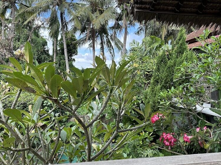 پانسیون Kailash Bali