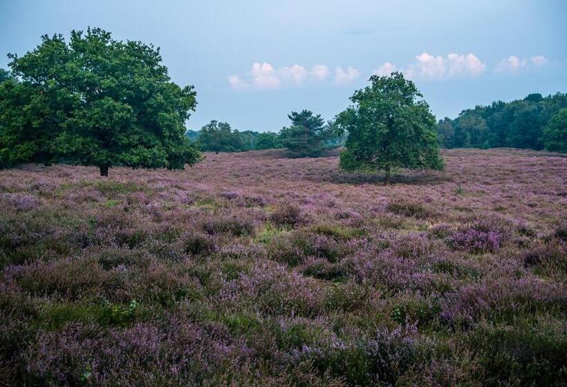 B&b Bij De 3 Linden