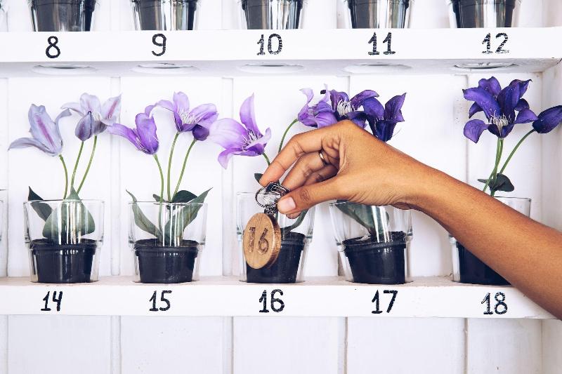 تختخواب و صبحانه The Koho Air