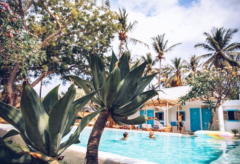 تختخواب و صبحانه The Koho Air