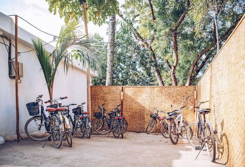 تختخواب و صبحانه The Koho Air