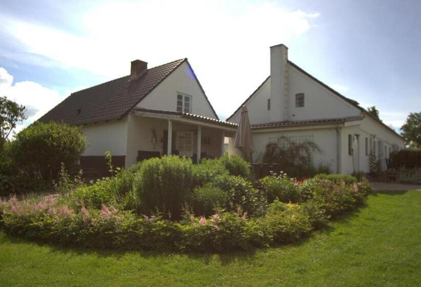 Stutteri Skandihest Apartments