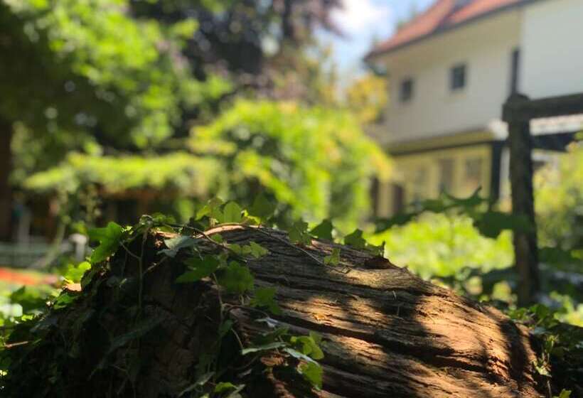 تختخواب و صبحانه Guesthouse Villa De Eikhof