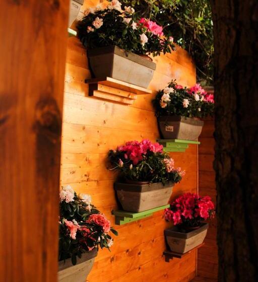 تختخواب و صبحانه La Casa Di Nonno Giulio
