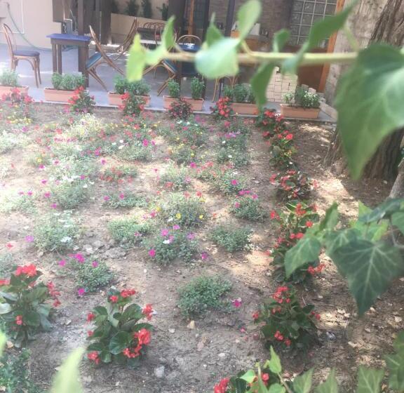 تختخواب و صبحانه La Casa Di Nonno Giulio