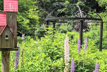 Bayfield Boutique B&b