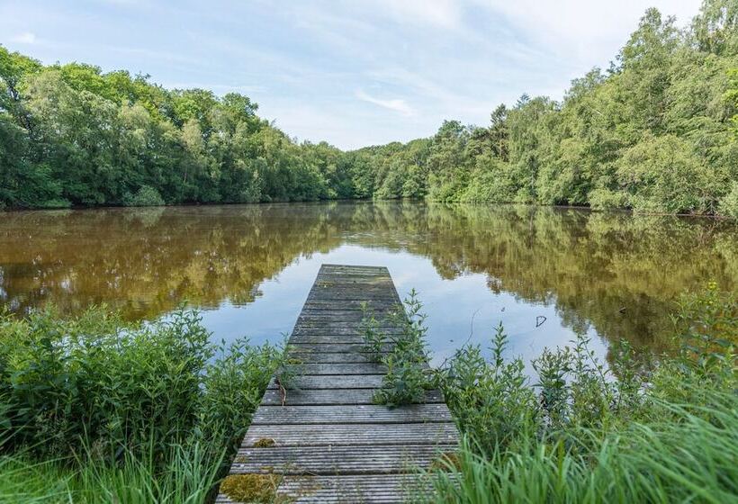 مبيت وإفطار Huize Boschoord