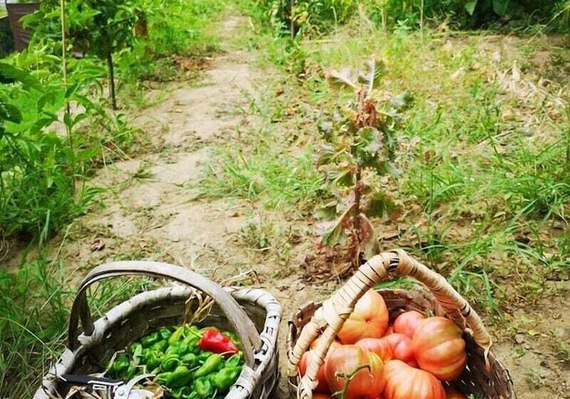پانسیون Kintal Do Douro
