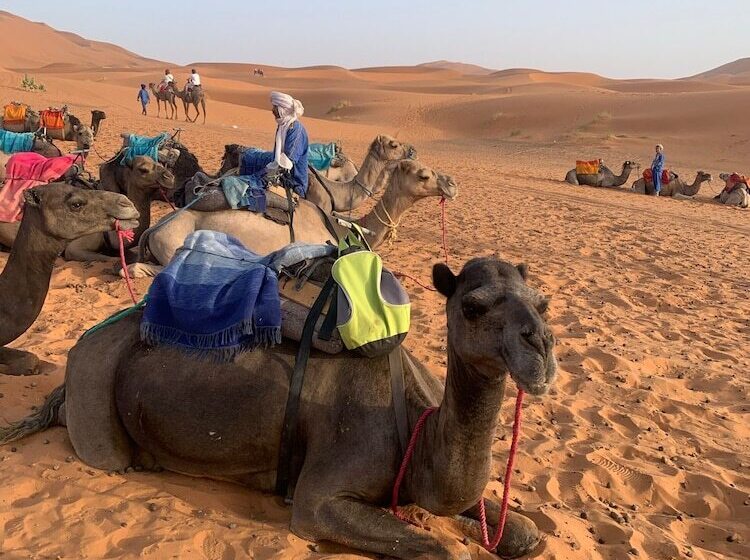 پانسیون Maison Salwa