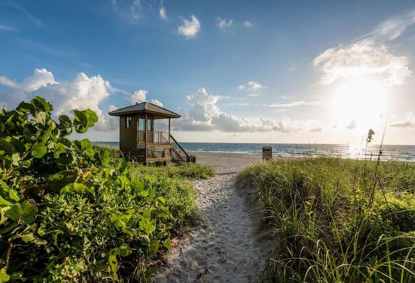 בית מלון כפרי Courtyard By Marriott Delray Beach