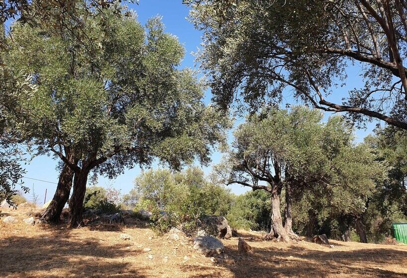 هتل Patara Caretta