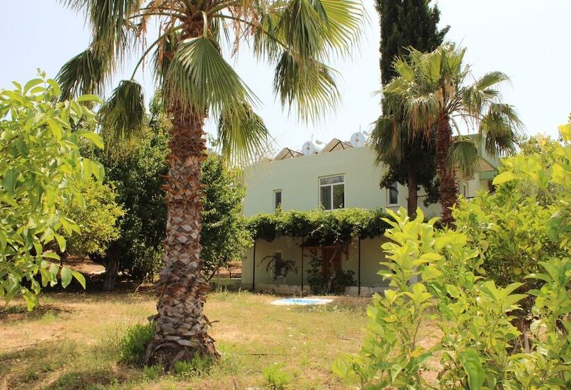هتل Patara Caretta