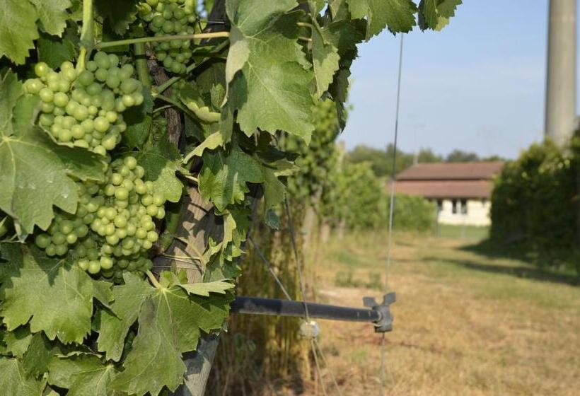 田舎風ホテル Agriturismo Corte Ambrosio