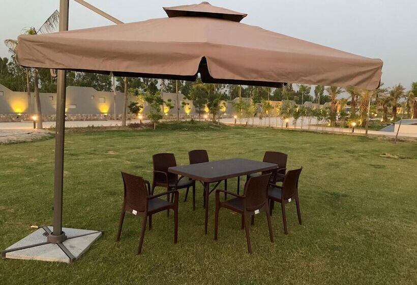 فندق The Forest Vines Resort