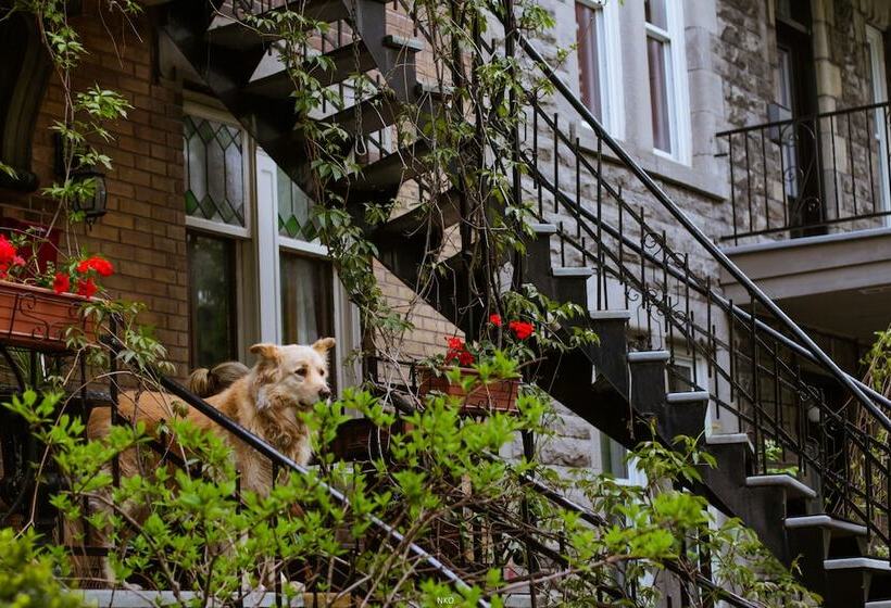 هاستل Pied A Terre Mont Royal