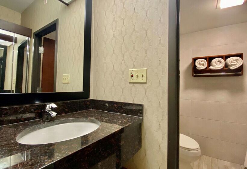 هتل Best Western Plus Houston Energy Corridor