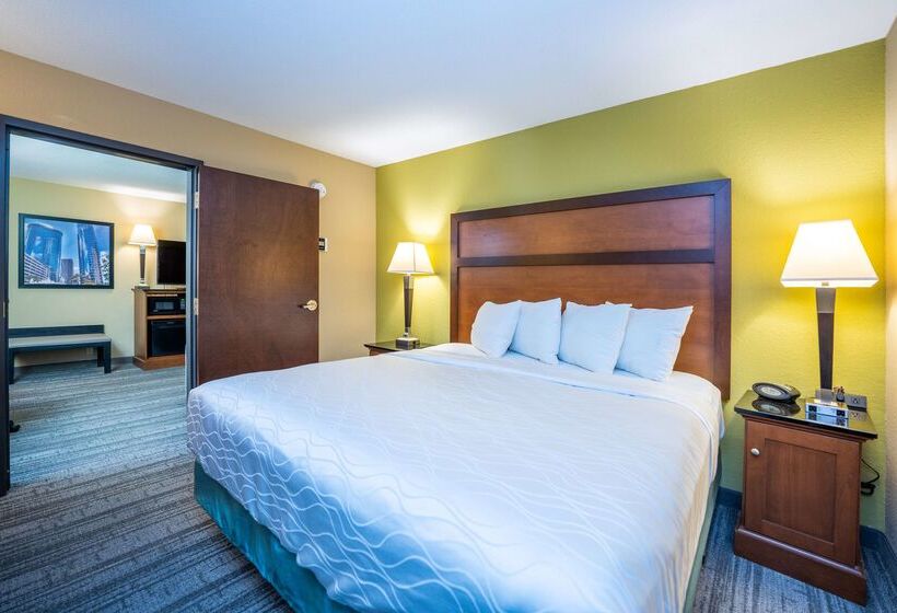 هتل Best Western Plus Houston Energy Corridor