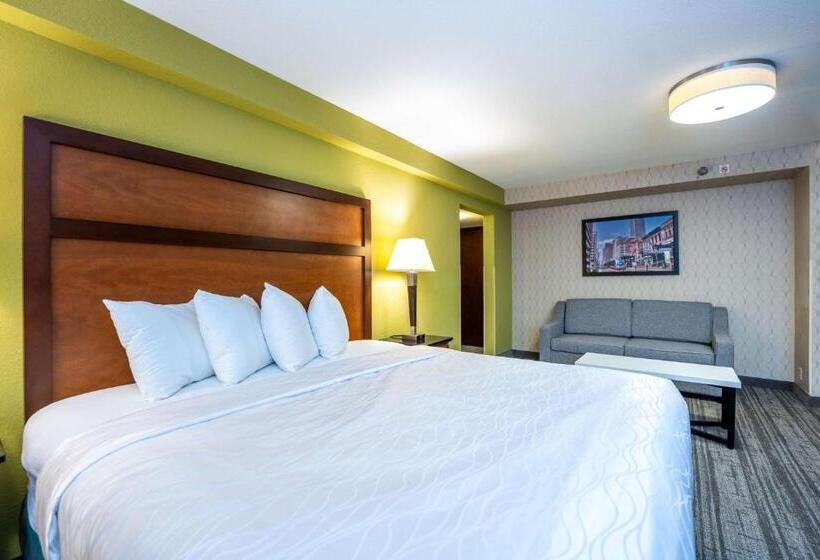 هتل Best Western Plus Houston Energy Corridor