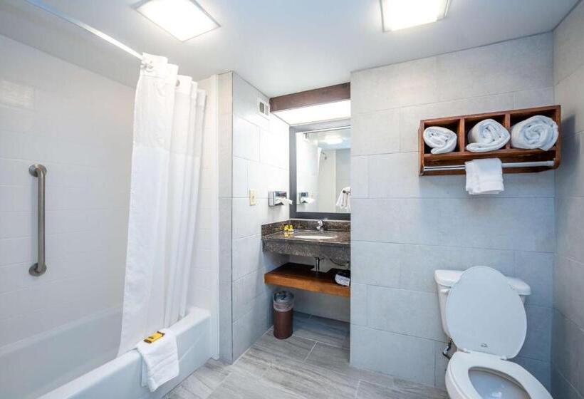 هتل Best Western Plus Houston Energy Corridor