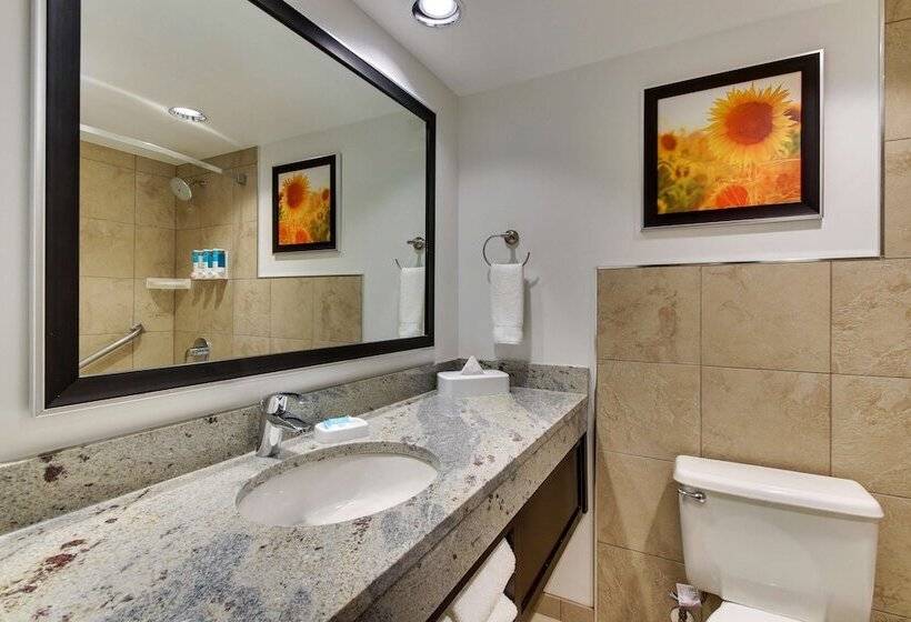 ホテル Drury Inn & Suites Poplar Bluff