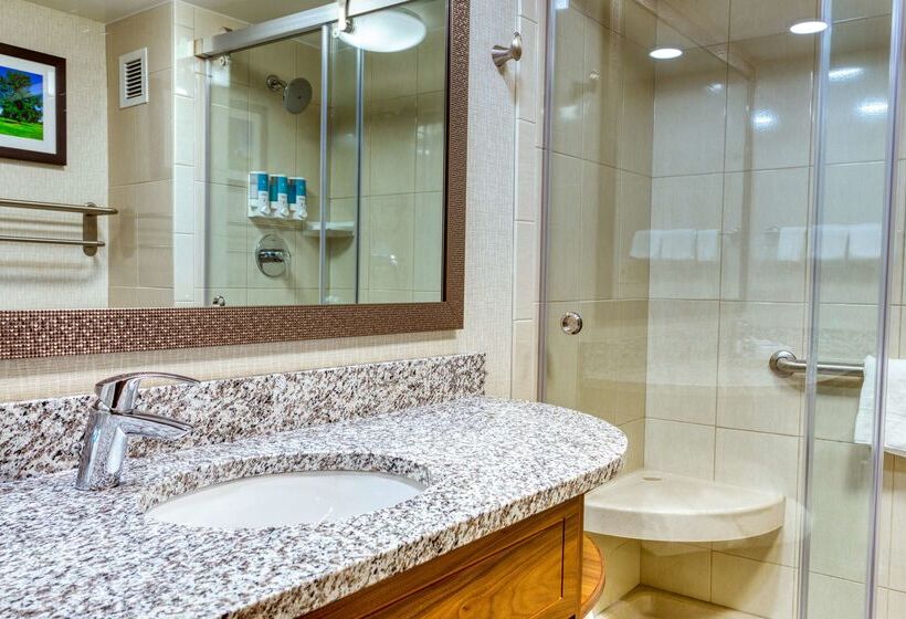 Отель Drury Inn And Suites St Louis Collinsville