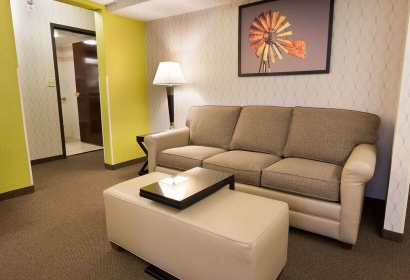 ホテル Drury Inn & Suites Houston The Woodlands