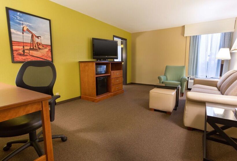 ホテル Drury Inn & Suites Houston The Woodlands