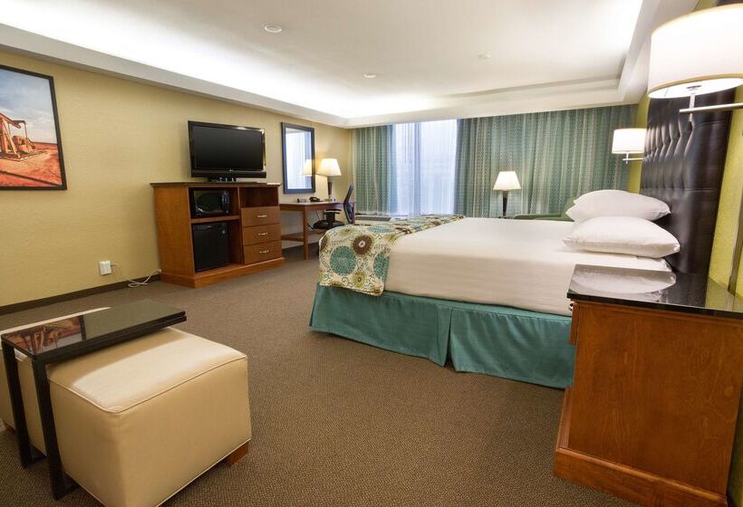 ホテル Drury Inn & Suites Houston The Woodlands