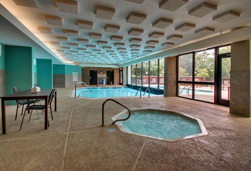 ホテル Drury Inn & Suites Houston The Woodlands