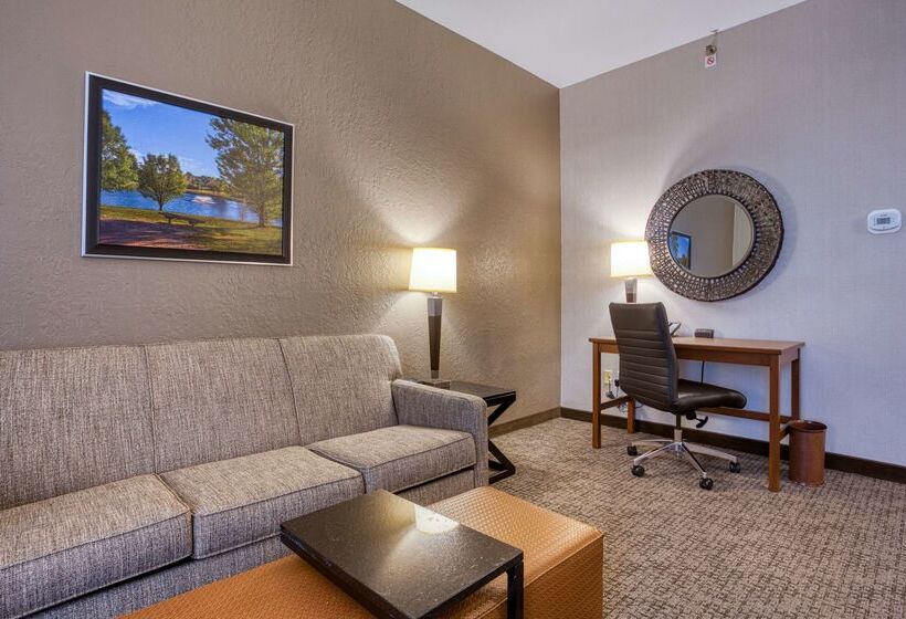 酒店 Drury Inn & Suites St. Louis Fairview Heights