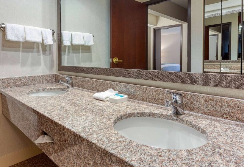 酒店 Heritage Inn & Suites St. Louis/fenton, Trademark By Wyndham