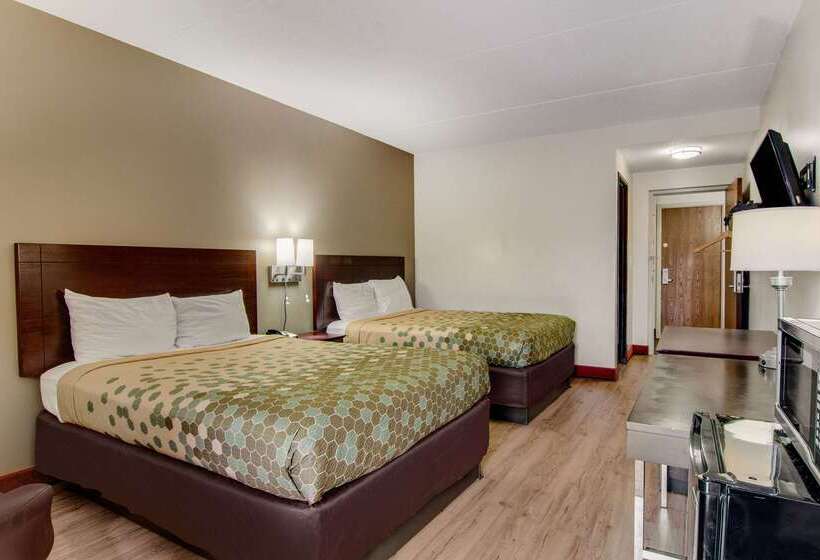 בית מלון כפרי Econo Lodge Cadillac