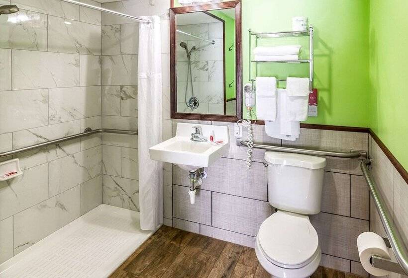 בית מלון כפרי Econo Lodge Cadillac