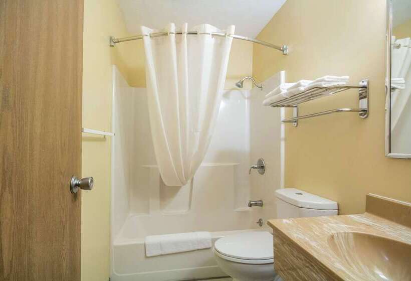 فندق Econo Lodge Lansing  Leavenworth