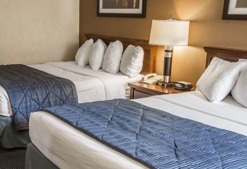 酒店 Quality Inn Schaumburg Chicago Near The Mall