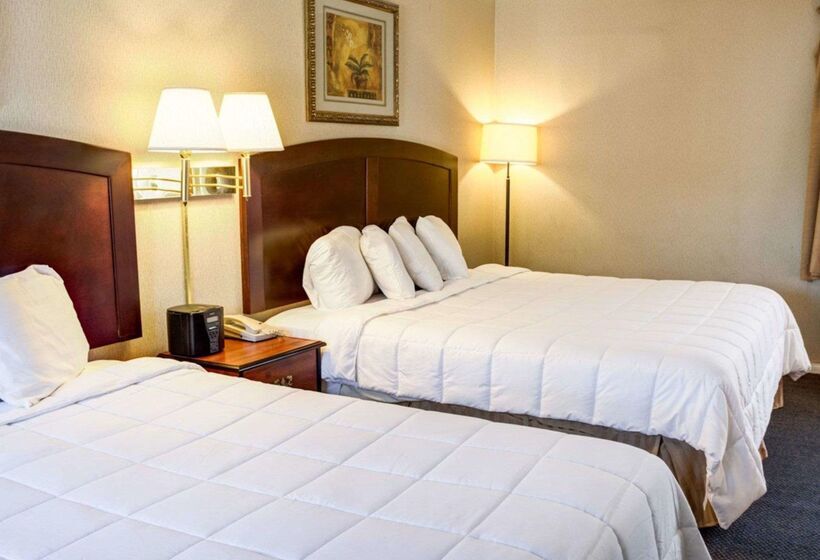ホテル Rodeway Inn Near Venice Beach