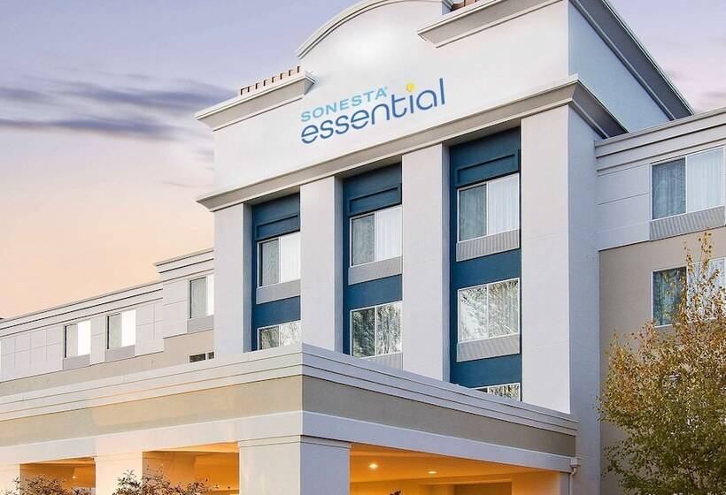 Fotos del hotel Greentree Hotel - Houston Hobby Airport:  55