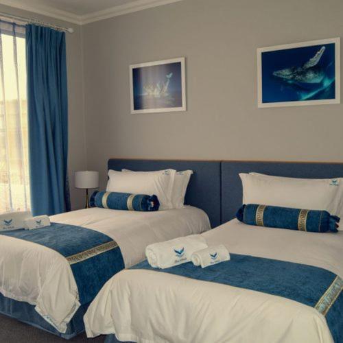 Blue Whale Hotels