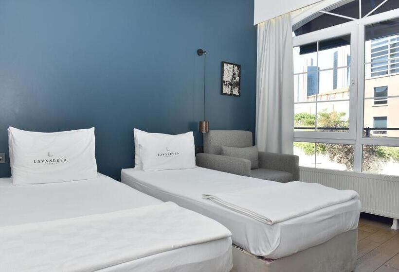 Fotos del hotel Levent Lavandula:  8