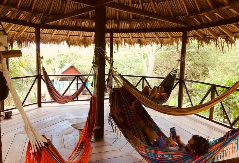 هاستل Hostal Doble Vista