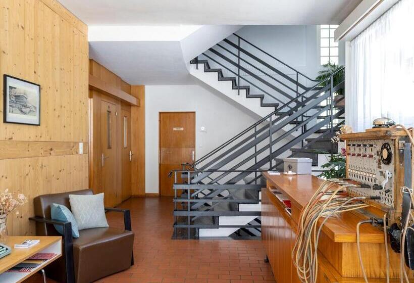 هتل Hôtel Historique Chez Elsy   Crans Sapins