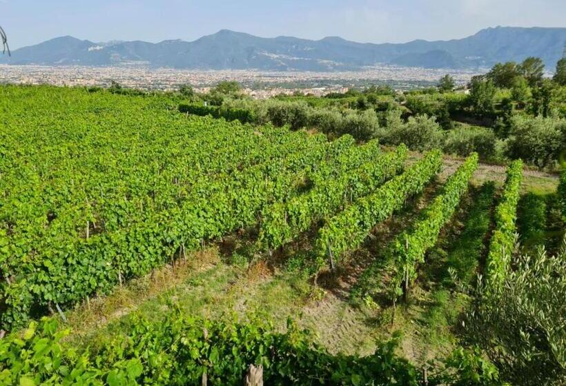 リゾートホテル Vesuvio Inn Bed & Wine Experience