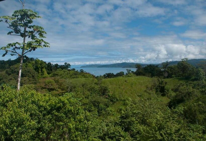 هتل Drake Bay Greenleaf